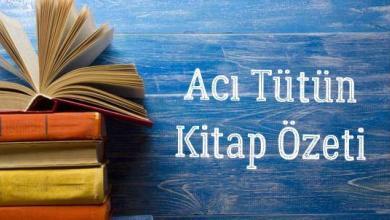 Acı Tütün Kitap Özeti